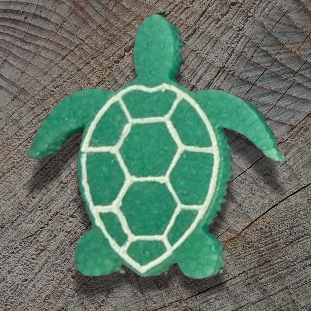 Sea Turtle