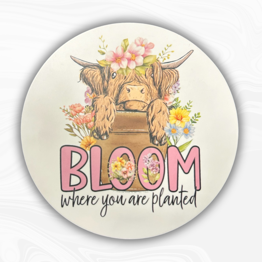Bloom Where You Are Planted